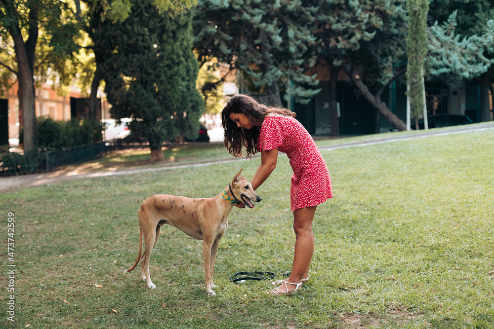 Big dog and young woman in the park Big dog and young woman in the park