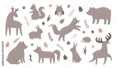 Fototapeta Naklejka Na Ścianę i Meble -  A set of forest animals. Fox, bear, hare, hedgehog, squirrel, deer, moose, owl. Vector illustration