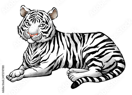 座る白い虎の水墨画イラスト　寅年　年賀状素材