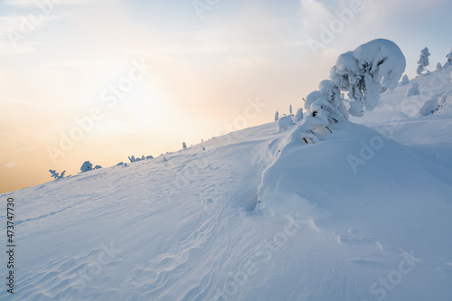 Fabulously beautiful winter landscapein the Carpathians. Winter nature. Frosty weather. Sunny day. Snow covered trees and mountains. Christmas background photo