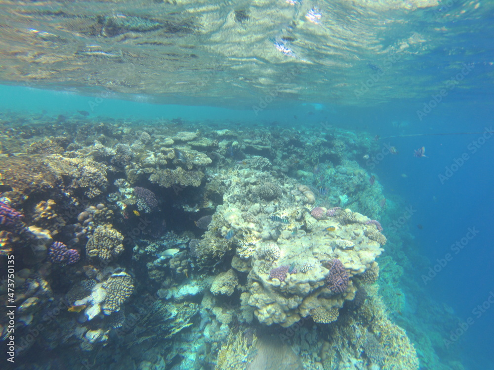 Naklejka premium Sharm El Sheikh, Egipto