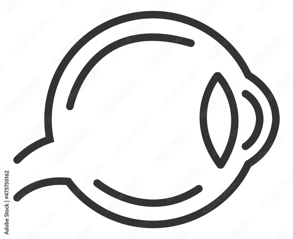 Eye ball icon. Human anatomy sign. Medical vision symbol Eye ball icon. Human anatomy sign. Medical vision symbol