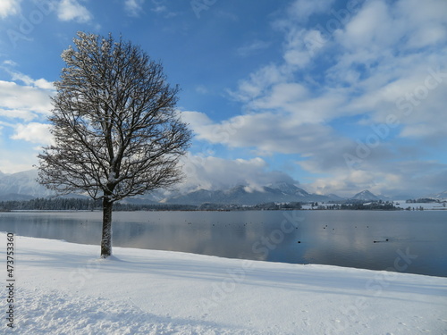 Winteridylle in Hopfen am See © C.Razy