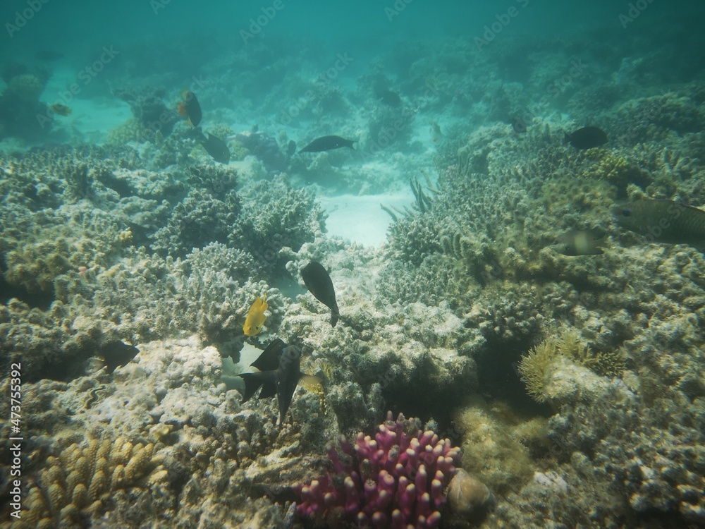 Naklejka premium Sharm El Sheikh, Egipto