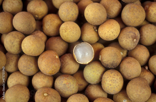 Photography MALAYSIA KUALA LUMPUR FRUIT