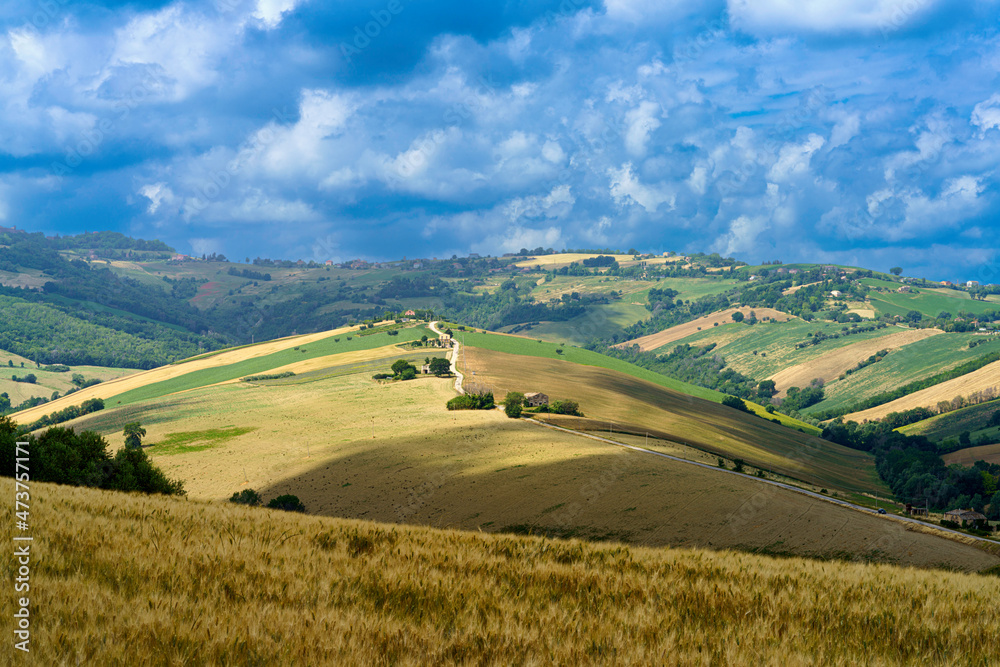 Rural landscape in Fermo province, Marche, near Monterubbiano