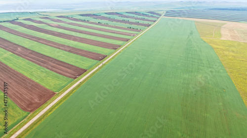 Agricultural fields, planting lines, Khakassia, Russia