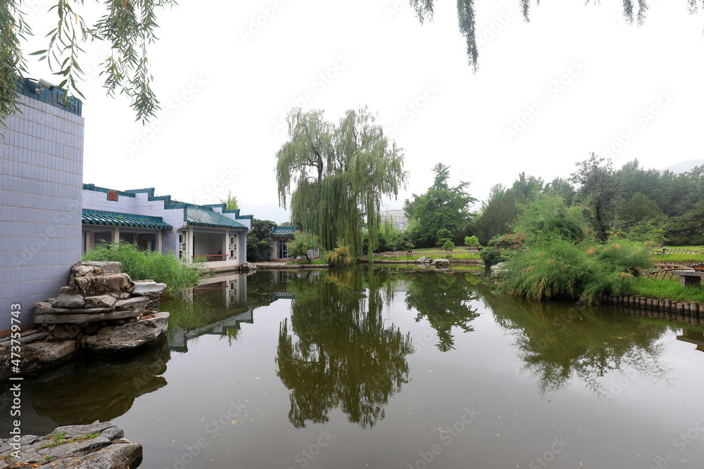Pond scenery of Beijing Botanical Garden