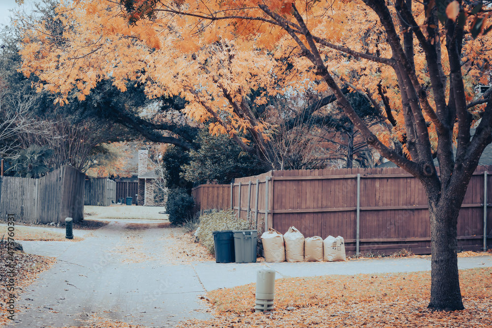 Vintage filter photo a bright yellow fallen leaves on back street with