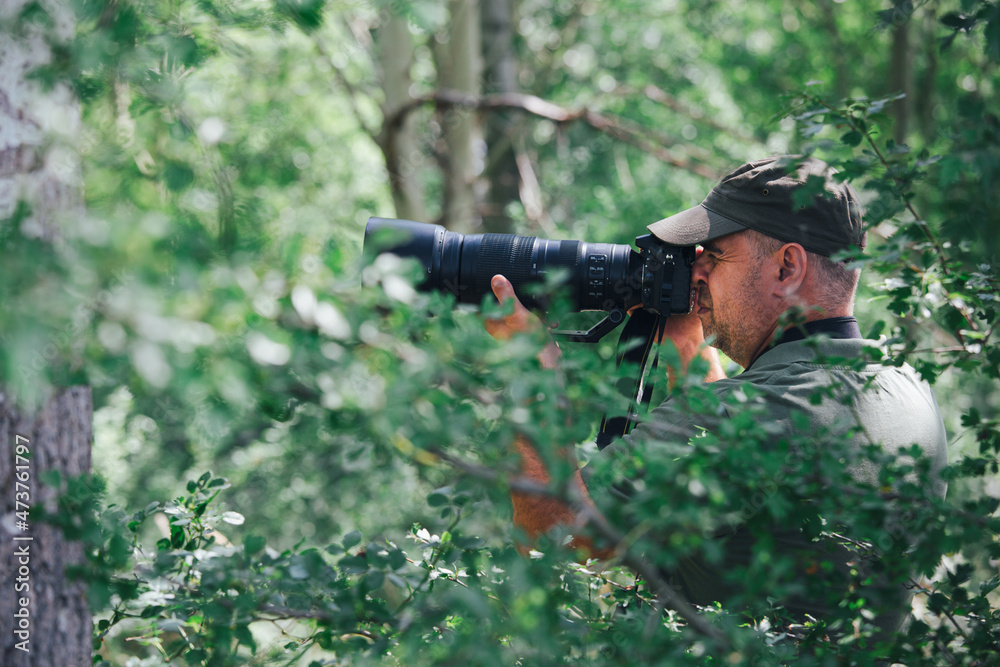 Fototapeta premium Wildlife photographer outdoor. Professional photographer in nature.