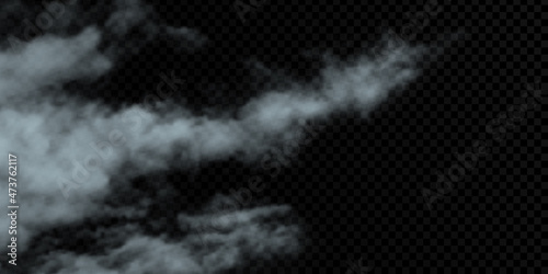 Vector cloud on a transparent background, smoke. Gradient mesh.