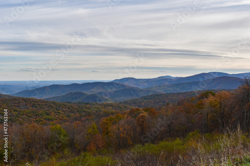 Shenandoah National Park, Virginia, USA - November 3, 2021: Mountain Scenery With Beautiful Fall Trees in the Foreground and a Bright Blue Sky in the Background © JudithAnne
