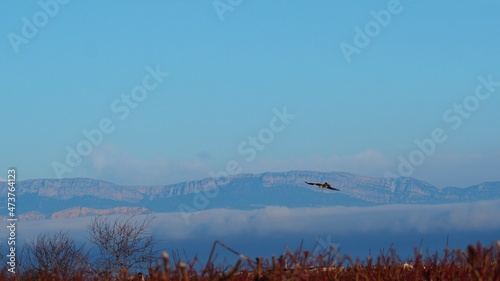 las montañas del pirineo leridano asomando entre la espesa niebla matinal de otoño, lérida, españa, europa photo