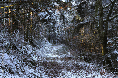 premières neiges
