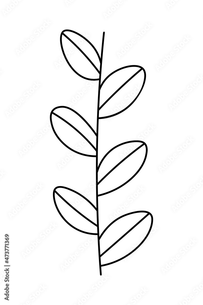 Branch floral doodle. Vector hand drawn botanical illustration. Herbal tea. Isolated objects flower cartoon.