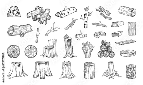 Collection of monochrome illustrations of wood raw materials in sketch style. Hand drawings in art ink style. Black and white graphics.    © Marina