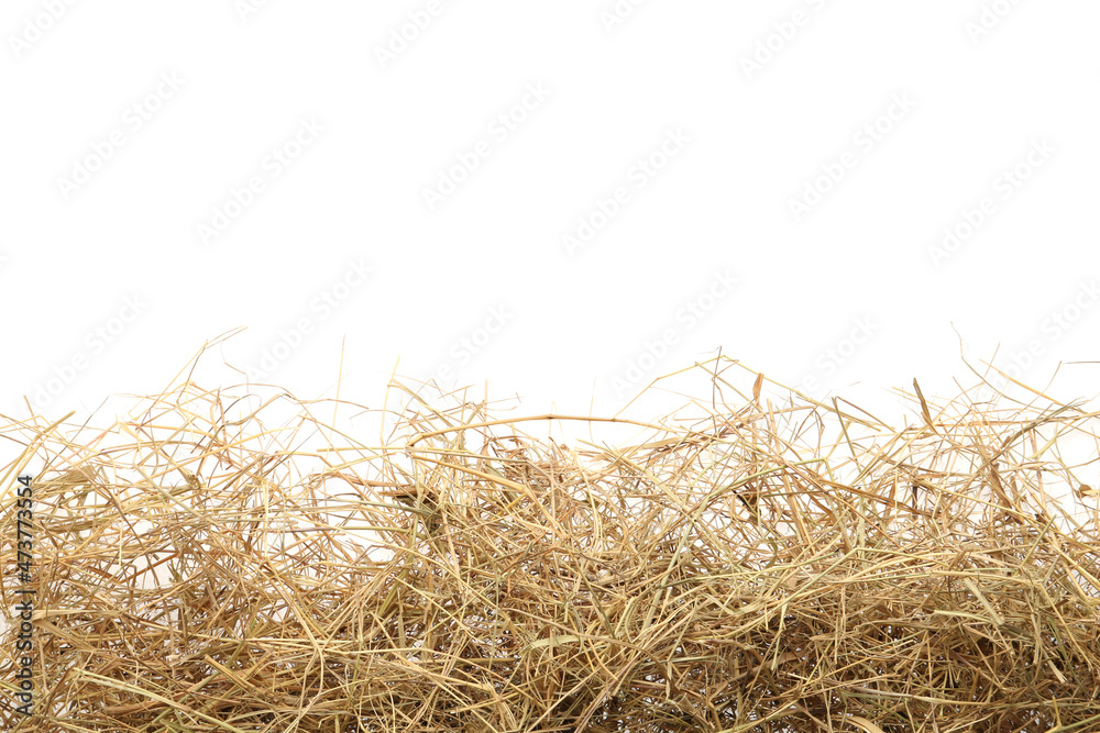 Dried hay on white background, top view - obrazy, fototapety, plakaty 