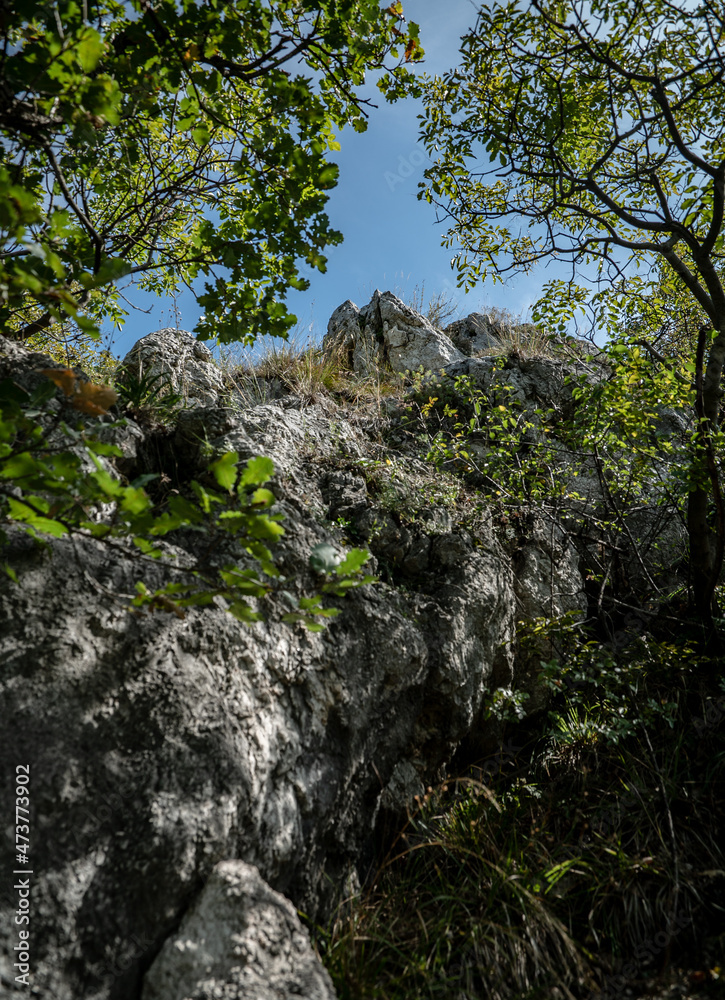 Rocky cliff overgrown by vegetation in the Buda Hills in Hungary