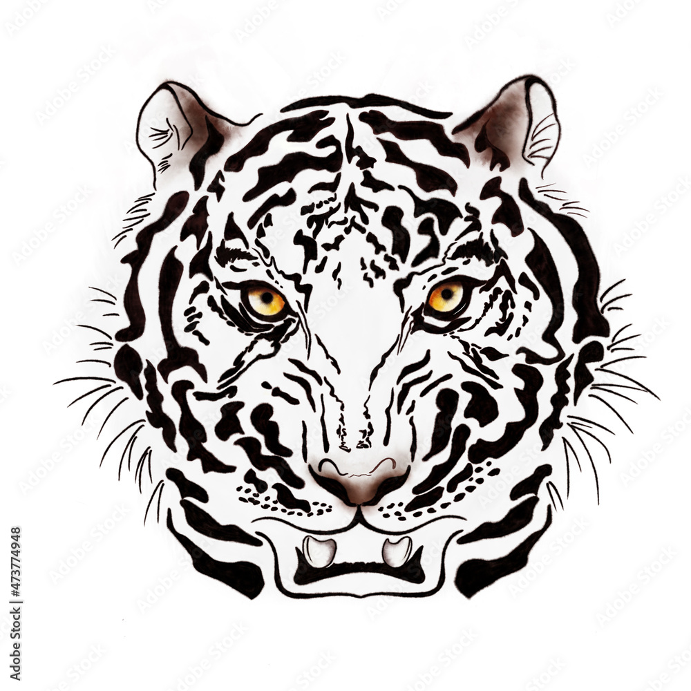 Fototapeta premium White Tiger head in full face watercolor illustration