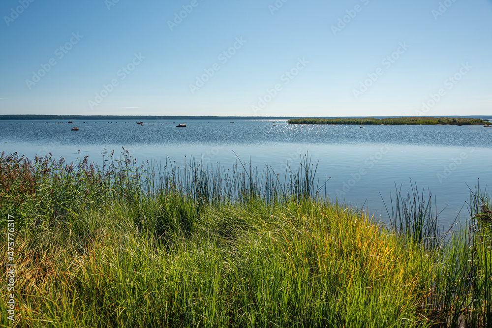 Purekkari cape is the northernmost place of mainland Estonia, located on the Pärispea Peninsula in Lahemaa National Park near the village Käsmu with bird island