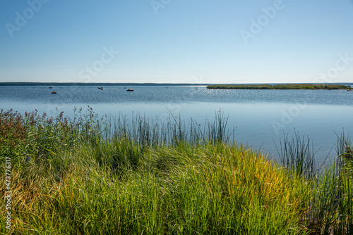 Purekkari cape is the northernmost place of mainland Estonia  located on the P  rispea Peninsula in Lahemaa National Park near the village K  smu with bird island