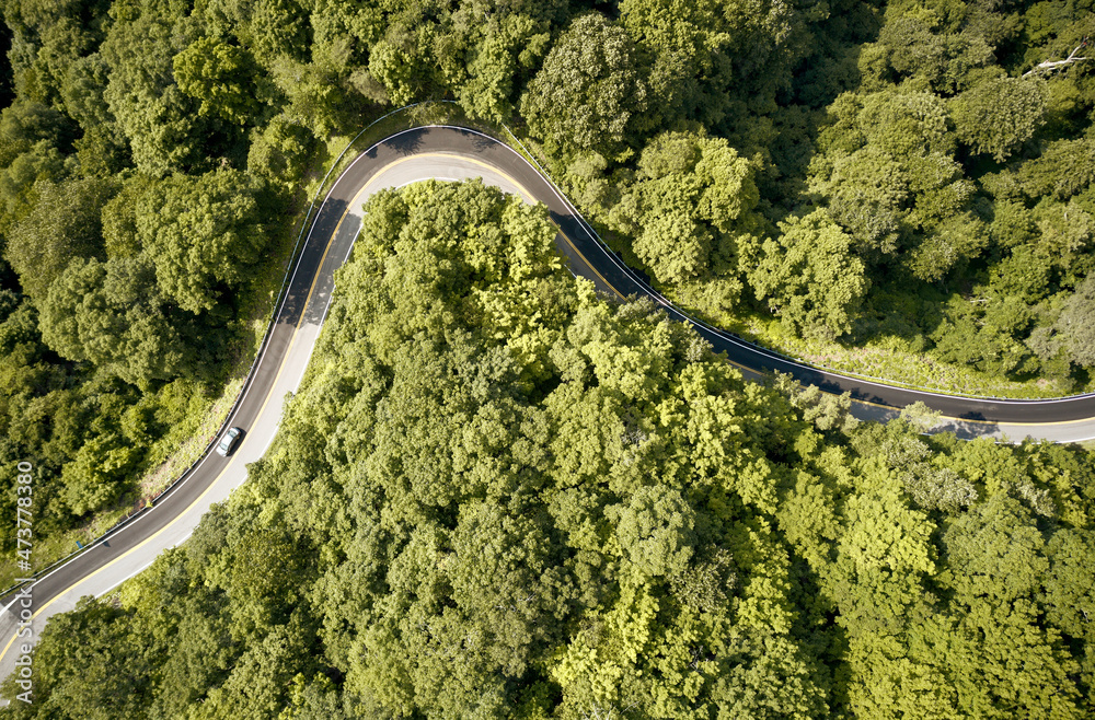 USA, Virginia, Aerial view of Back of Dragon road surrounded by green forest in summer USA, Virginia, Aerial view of Back of Dragon road surrounded by green forest in summer