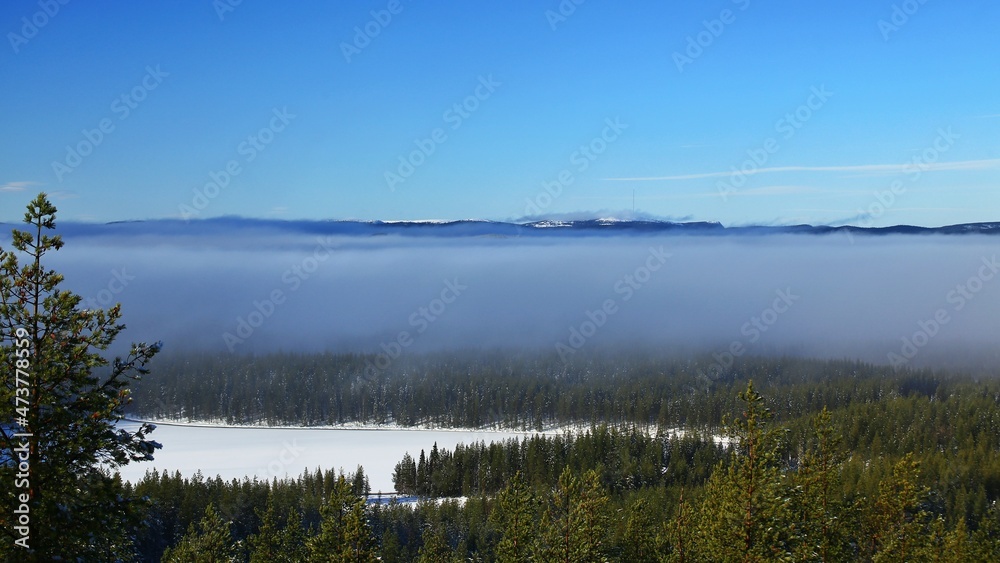 View on Swedish winter landscape in fog