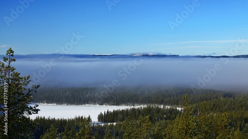 View on Swedish winter landscape in fog
