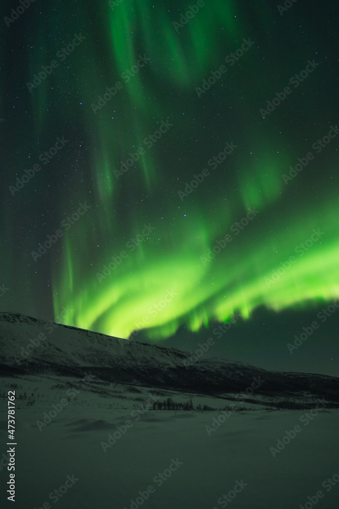 Northern lights known as aurora borealis over the arctic landscape in Norway. High quality photo