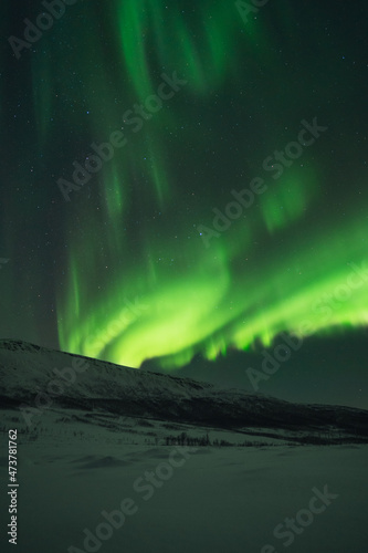 Northern lights known as aurora borealis over the arctic landscape in Norway. High quality photo