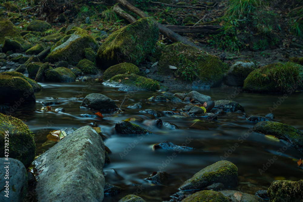 Fototapeta premium 一目八景.麗谷渓谷の清流