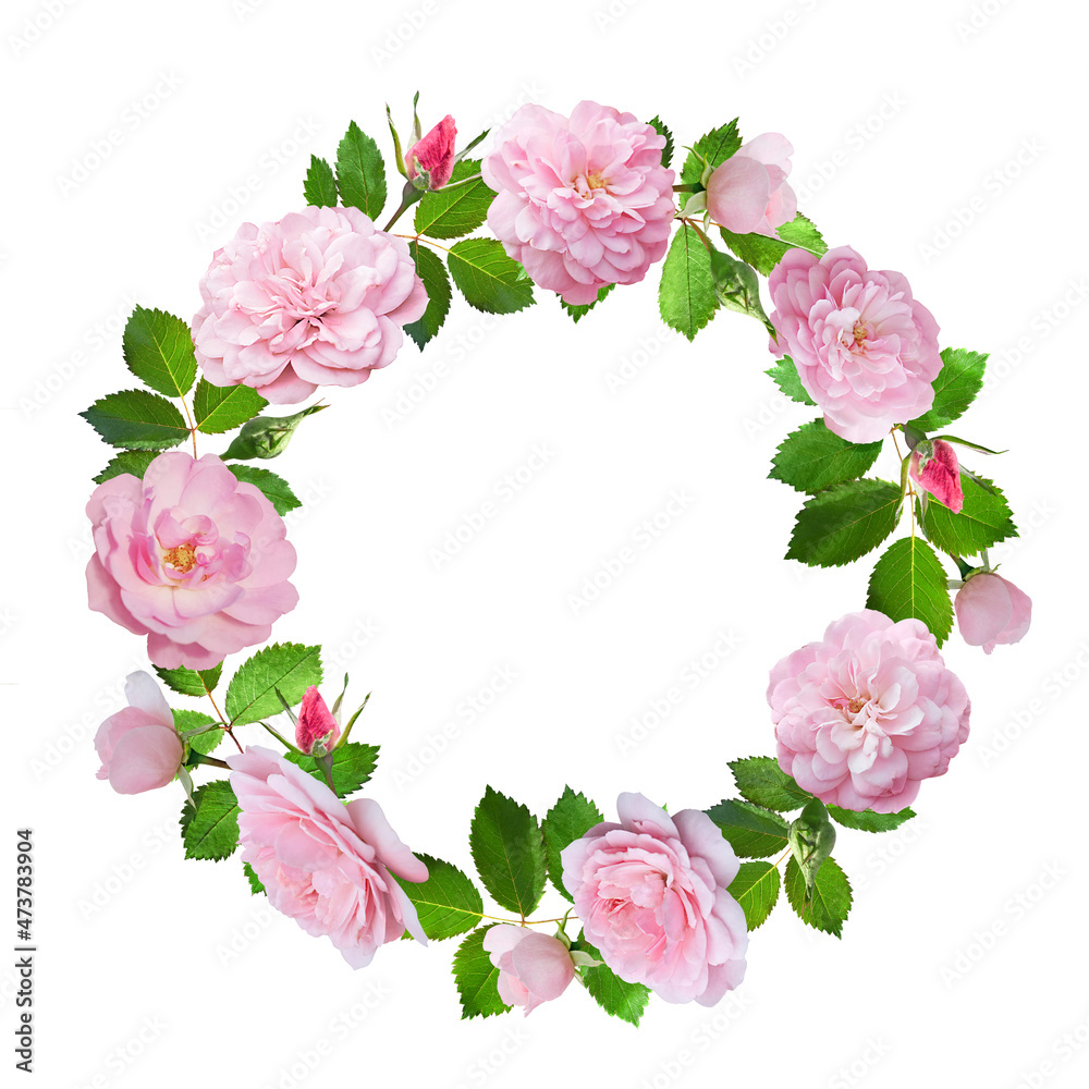 Round flower garland of roses with leaves and buds. Flower wreath Round flower garland of roses with leaves and buds. Flower wreath