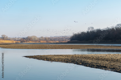 late autumn on the river, birds in the sky