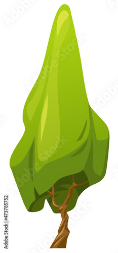 Willow of summer garden or park. Forest landscape element. . Foliage plant. Vector cartoon green tree isolated on white background.
