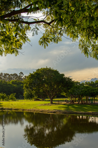 Uma vista do final de tarde no Parque Leolídio di Ramos Caiado em Goiânia.