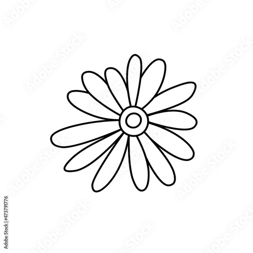 Daisy flower icon line. Chamomile contour drawing for design, logo, postcard, decor. Herbal tea. Vector illustration in doodle style isolated on background. Coloring book.