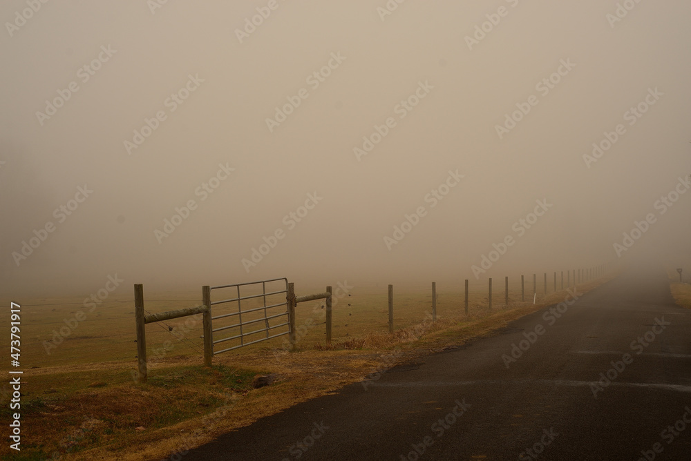 Fence, gate in fog pasture