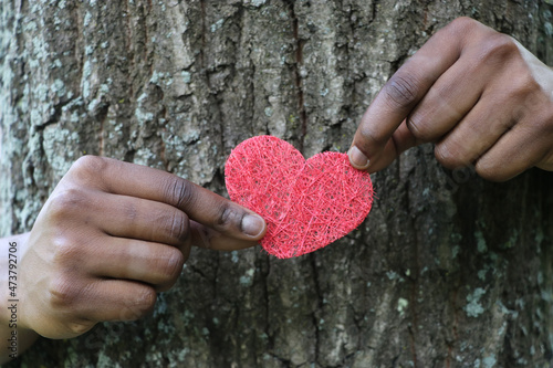 climate change, climate protection, heart, tree, environment, environmental protection, love