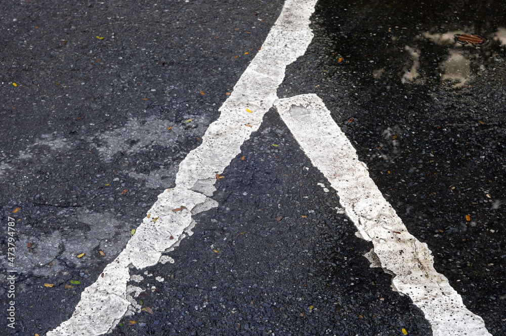 Obraz premium asphalt road with lines