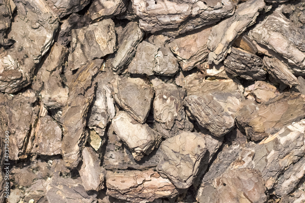 Brown old tree bark background Brown old tree bark background