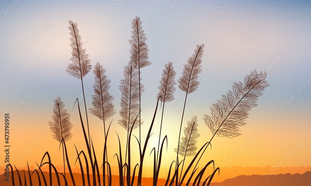 Reeds on the background of a golden sunset distant rock.