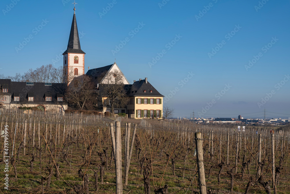 View towards the parish church of St. Peter and Paul in Hochheim am Main / Germany on a sunny day 