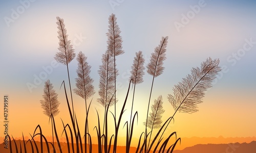 Reeds on the background of a golden sunset distant rock.