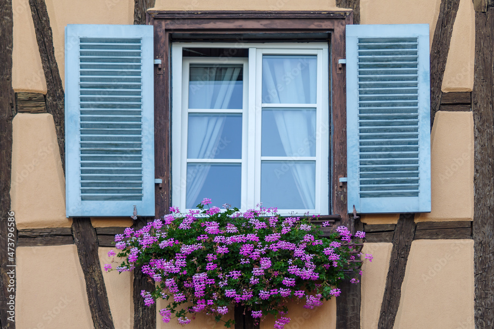 Window with window box and geraniums