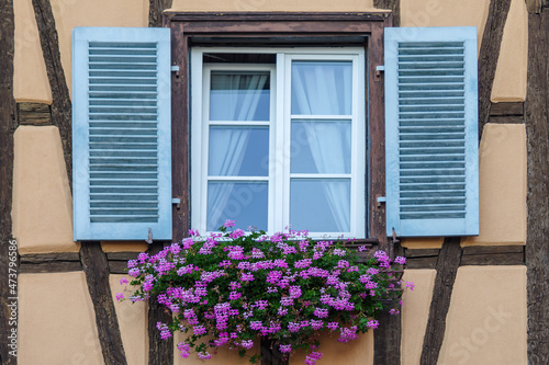 Window with window box and geraniums © Dmytro Surkov