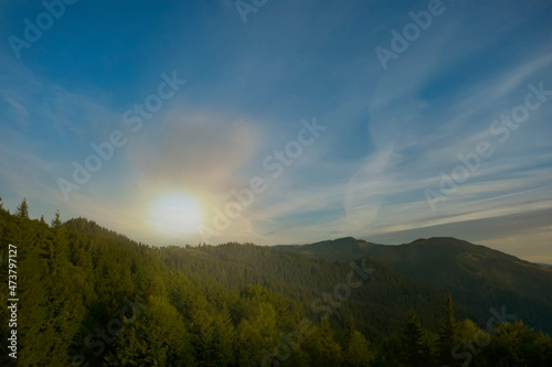 Aerial view of beautiful mountain landscape with green trees in morning