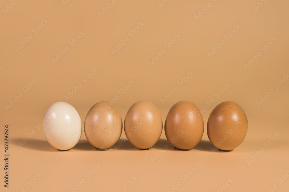 Row of chicken eggs in beige bed tones on a beige background are isolated with copy space. Eco-concept.