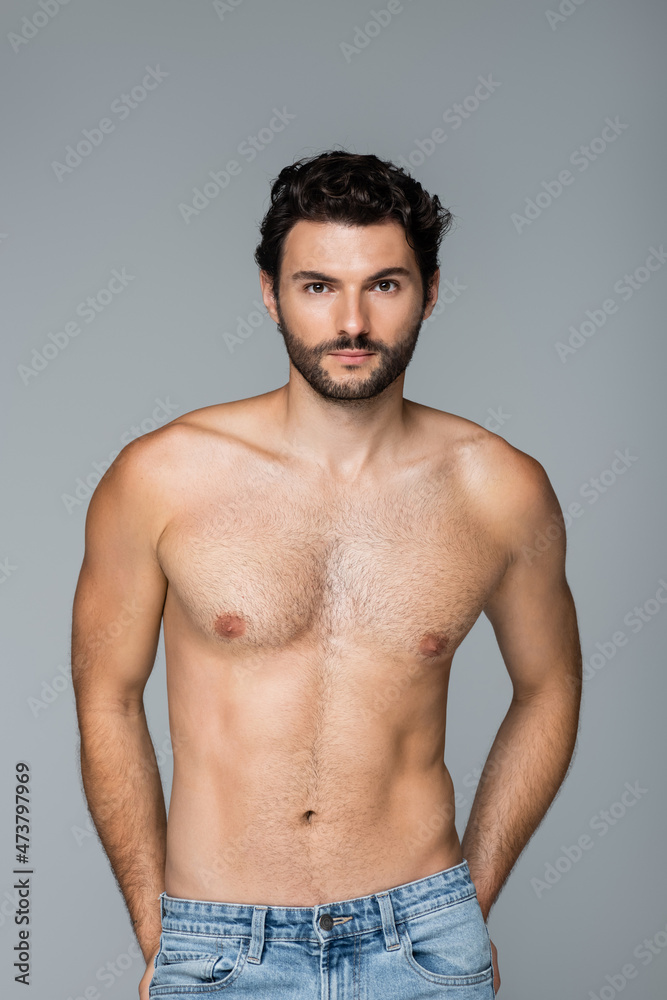 good-looking bearded man looking at camera isolated on grey good-looking bearded man looking at camera isolated on grey