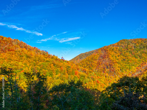 Fall color in the Smoky mountains along  the Blue Ridge Parkway in North Carolina   USA