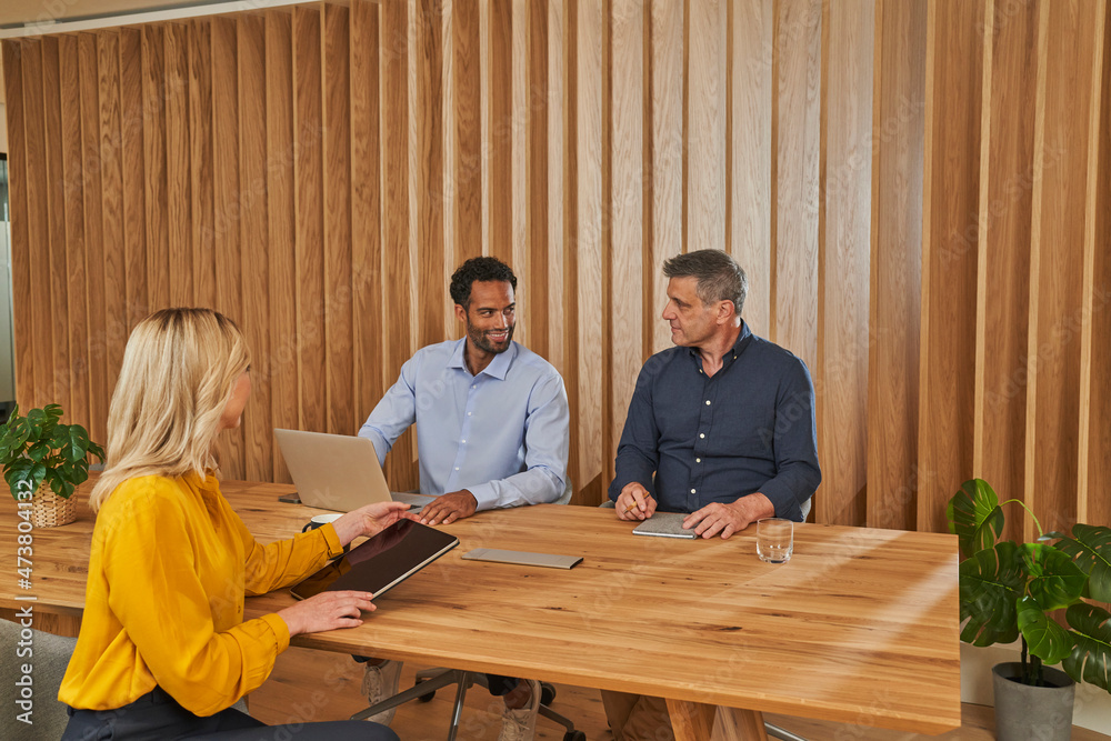 Business professionals discussing during meeting in board room